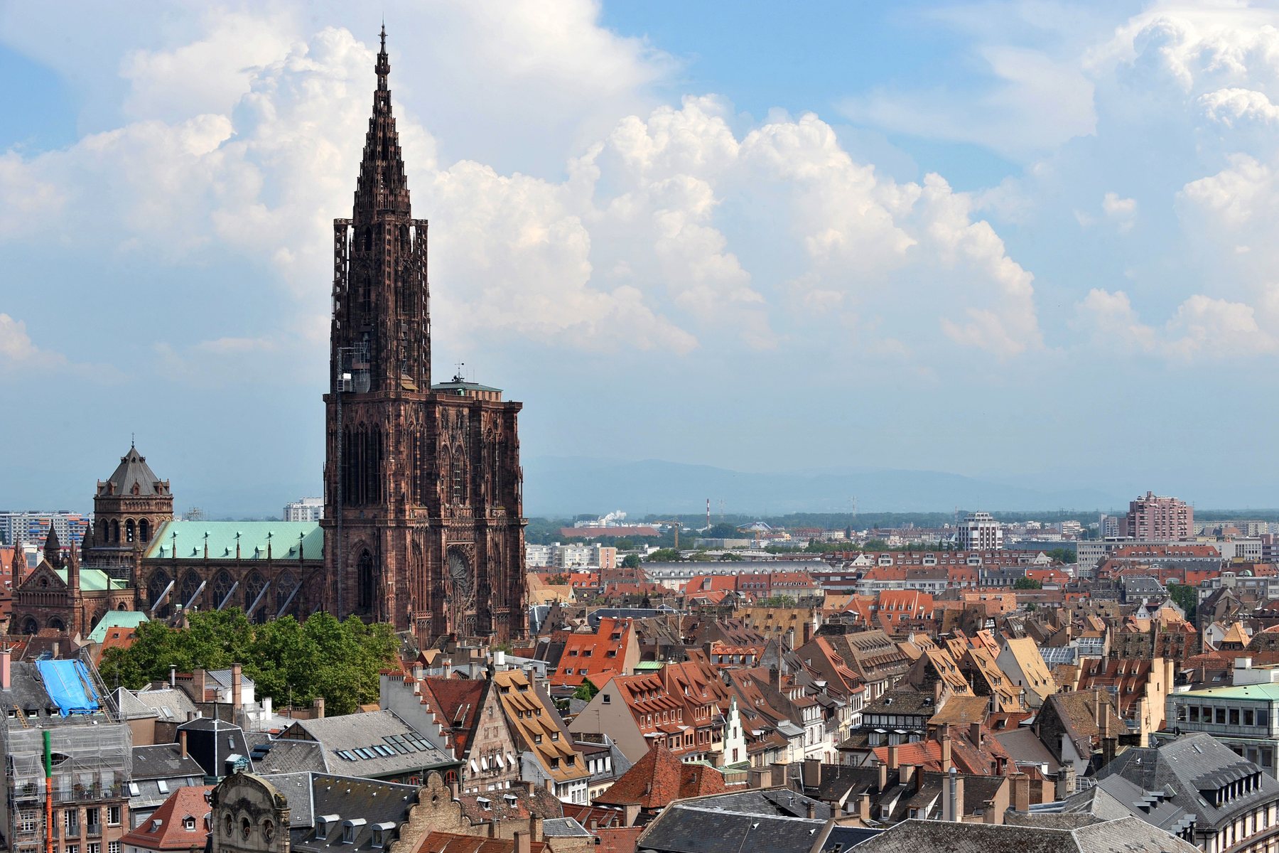 Alsace & Champagne — photo gallery 1