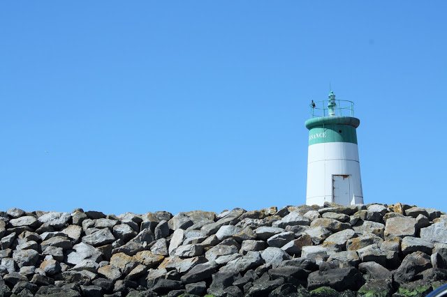 Brittany wild coast — photo gallery 3