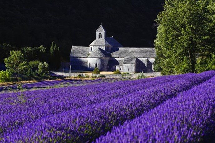 Provence & Luberon — photo gallery 2