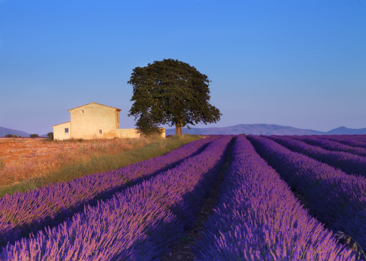 Provence & Luberon