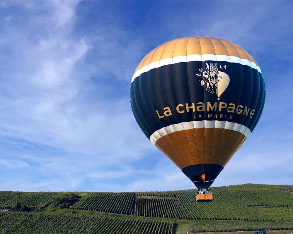 Vineyard experiences — photo gallery 3