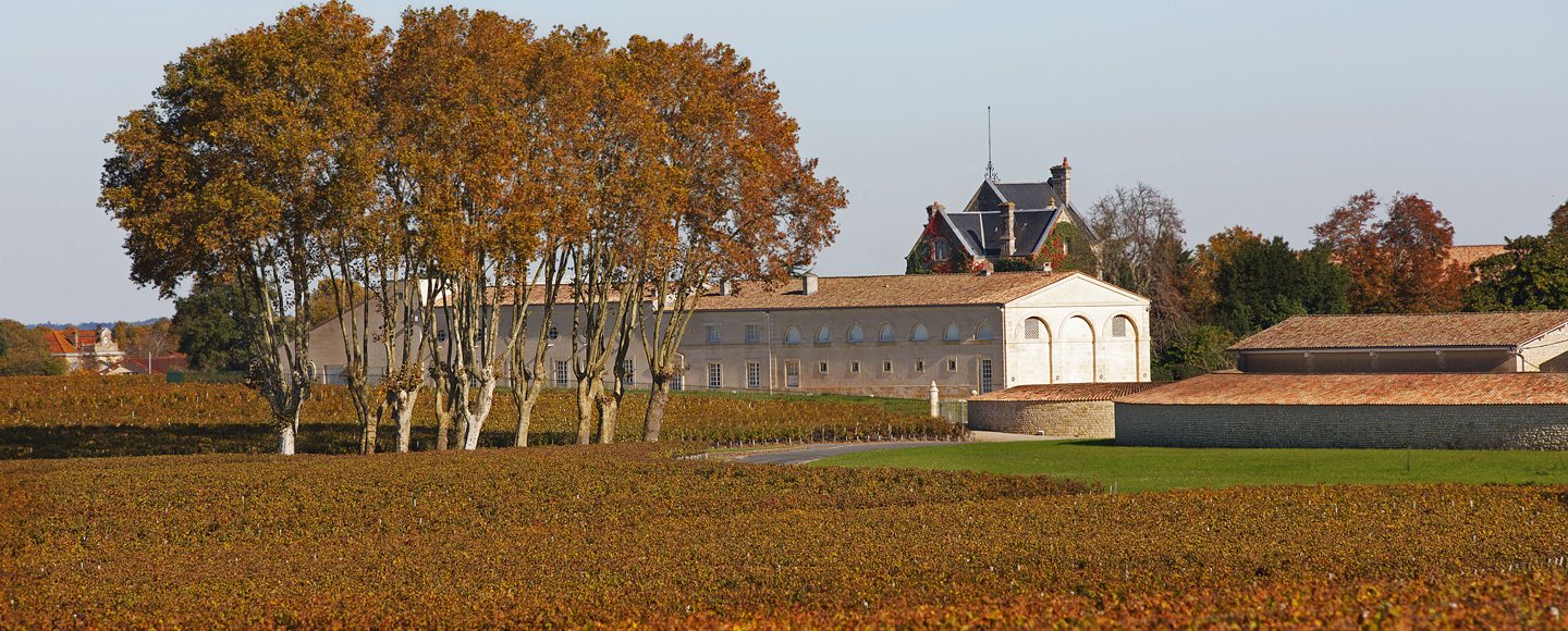 Vineyard experiences — photo gallery 6