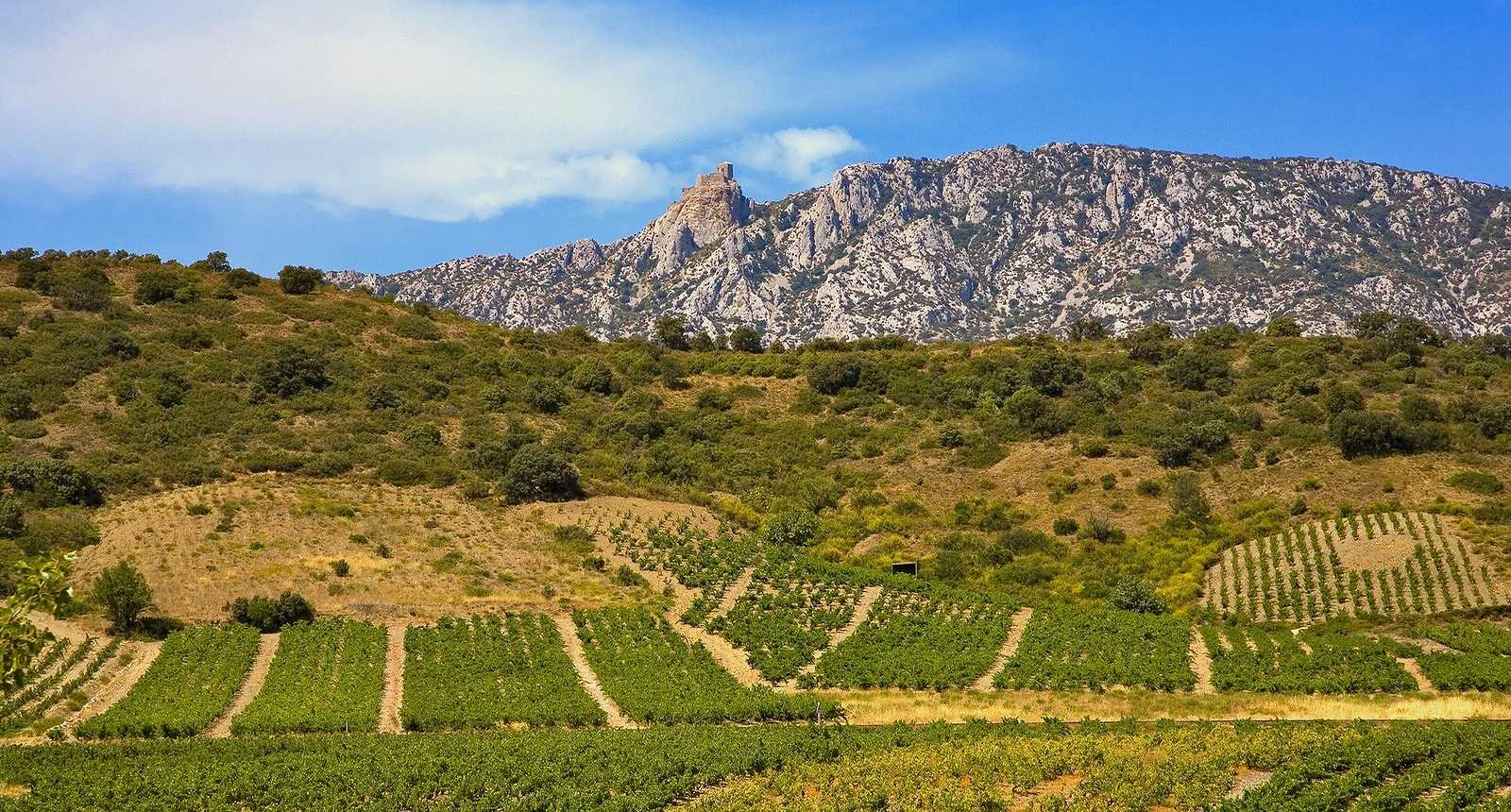 Wine regions — photo gallery 5